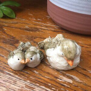 Mommy and Baby Birds